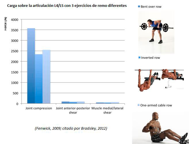 Belastung auf die Wirbelsäule - Langhantelrudern