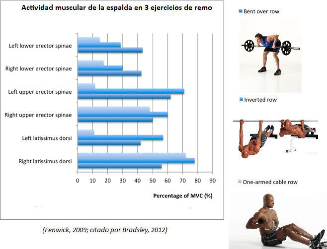 Muskelaktivität Rücken