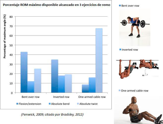 Prozentsatz maximale ROM
