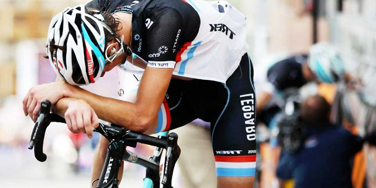 Welche Nährstoffe sind enthalten