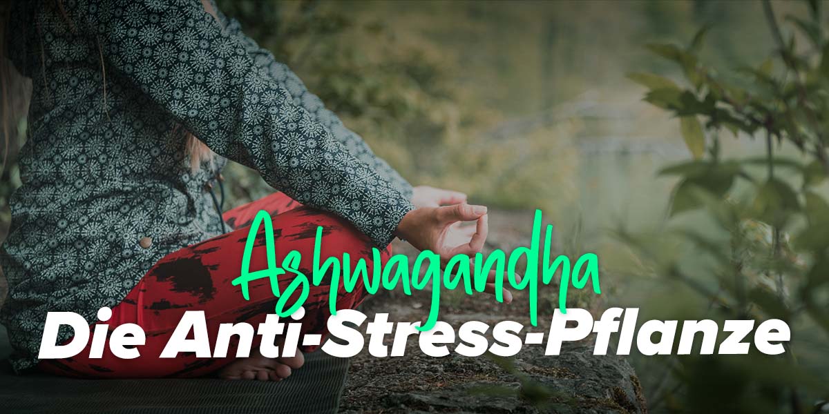 8 gesundheitliche Vorteile von Ashwagandha
