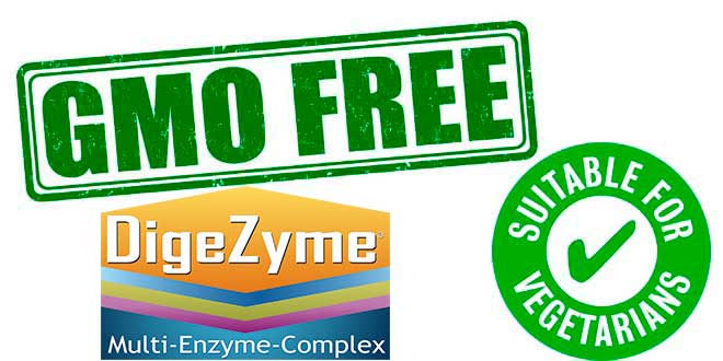 Digezyme Enzyme für Vegetarier