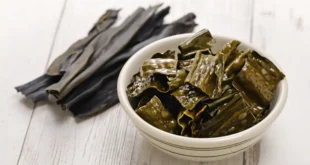10 Vorteile und Eigenschaften der Kelp-Alge für die Gesundheit