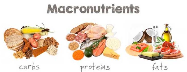 Makronährstoffe