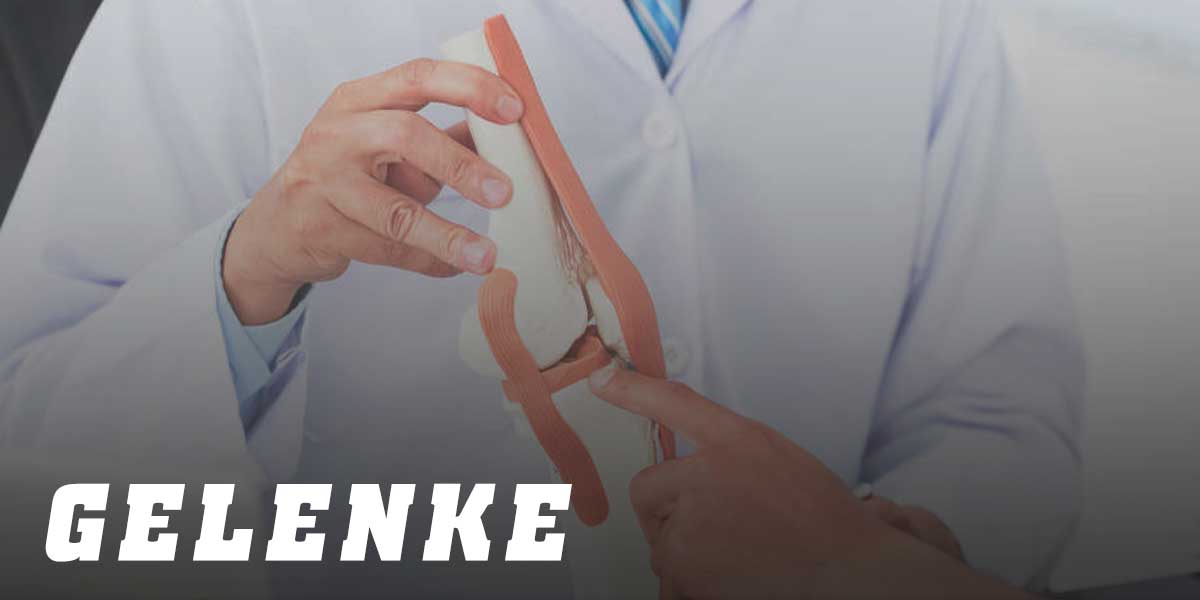 Gelenke Gelenke