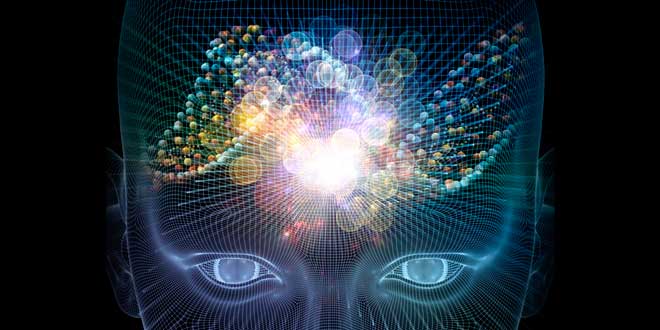 Nootropika und Gehirn