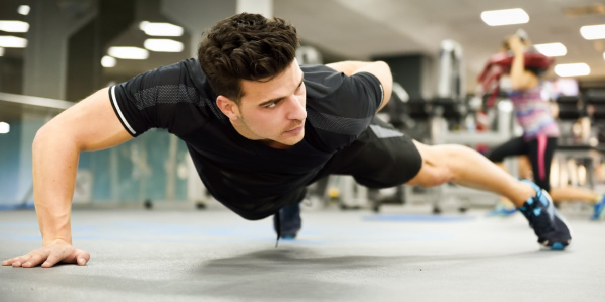 Was ist Tribulus Terrestris Was ist Tribulus Terrestris