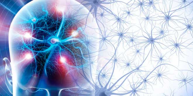 Wirkungen von Neurotransmittern