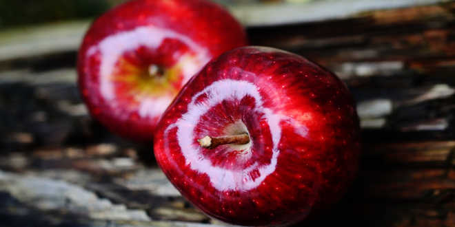 ‌Quelle von Quercetin Apfel