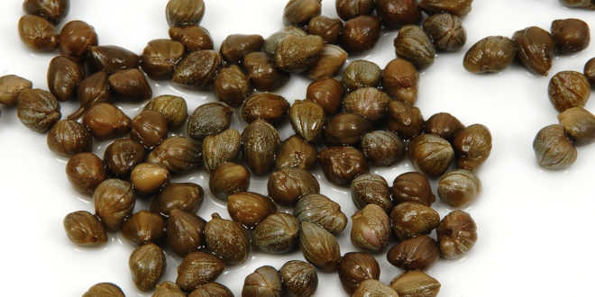 Quelle von Quercetin Kapern