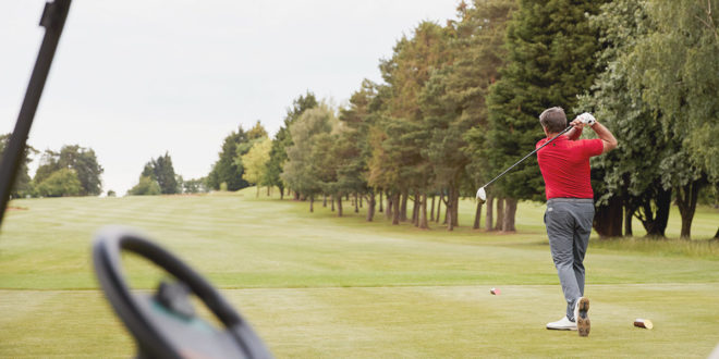 Quercetin: Ein natürliches Antioxidans mit Anti-Aging-Wirkung