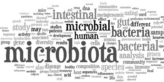 Das Mikrobiom und seine Bedeutung Das Mikrobiom und seine Bedeutung