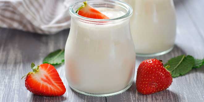 Joghurt Joghurt