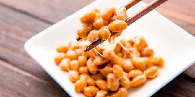Probiotisches Natto Probiotisches Natto