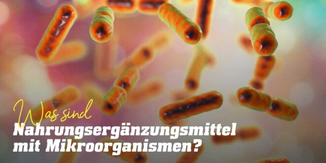 Nahrungsergänzungsmittel mit Mikroorganismen: Welchen gesundheitlichen Nutzen haben sie? Nahrungsergänzungsmittel mit Mikroorganismen: Welchen gesundheitlichen Nutzen haben sie?