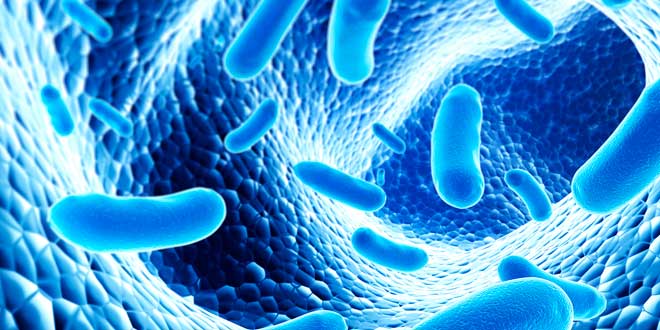 Was sind Probiotika Was sind Probiotika