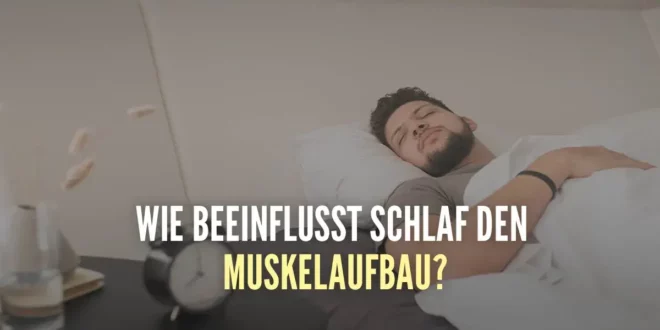 Schlaf und Muskelaufbau – Wie wichtig ist ausreichend Schlaf?