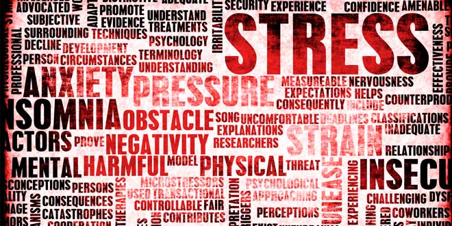 Estrés y Cambios en el cuerpo