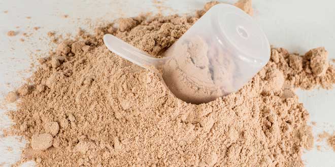 Protein