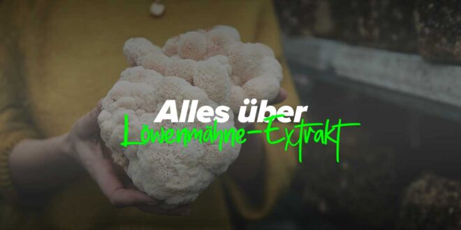 Vorteile und Eigenschaften des Löwenmähnenpilzes