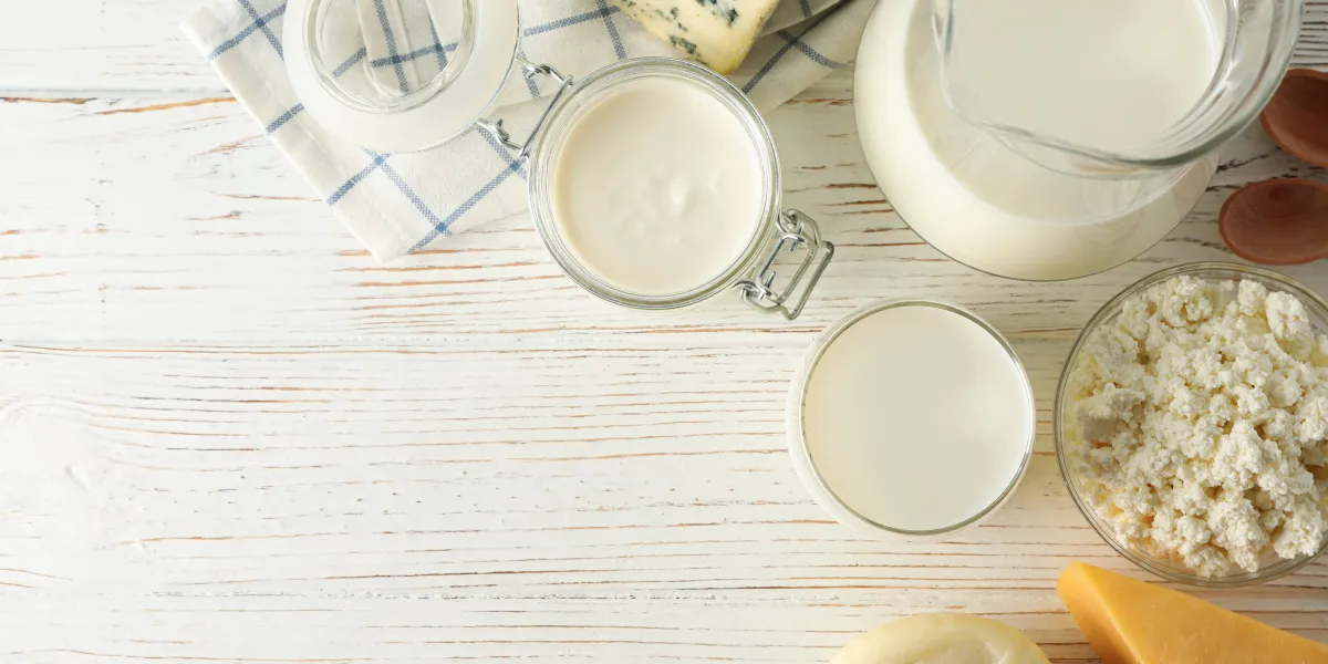 Was ist mizellares Casein und welche Vorteile bietet es?