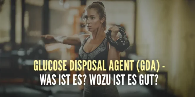 Was sind GDA (Glucose Disposal Agents) – und wozu dienen sie?