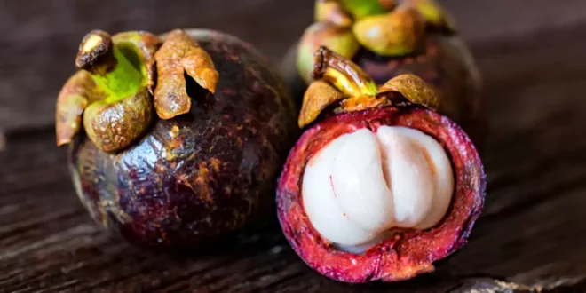 Alle Vorteile von Mangostan für die Gesundheit Alle Vorteile von Mangostan für die Gesundheit