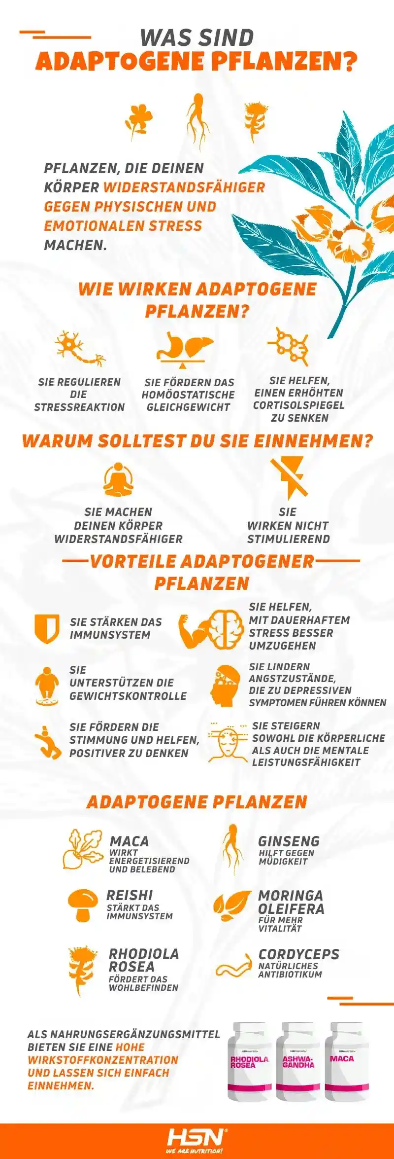 info-de info-de
