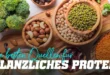 pflanzliche-proteinquellen