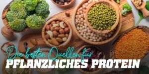 pflanzliche-proteinquellen