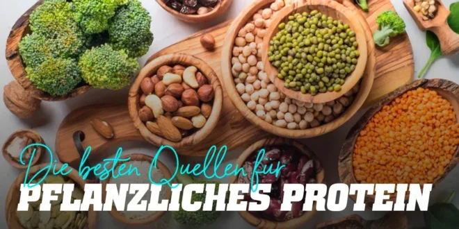 Die 12 besten pflanzlichen Proteinquellen
