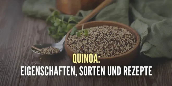 Quinoa – Eigenschaften und Rezepte des Superfoods Quinoa – Eigenschaften und Rezepte des Superfoods