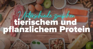 unterschiede-tierisches-und-pflanzliches-protein
