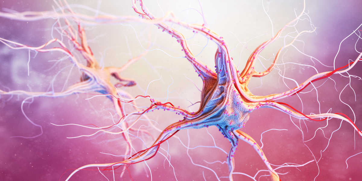 Welche Wirkung hat B12? Welche Wirkung hat B12?