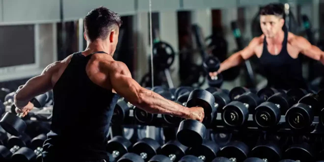 HSN-Protokoll: Muskelaufbau mit kaum Fett