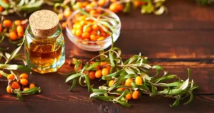Was ist Omega 7 und wie kann es deine Gesundheit verbessern?