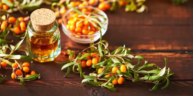 Was ist Omega 7 und wie kann es deine Gesundheit verbessern? Was ist Omega 7 und wie kann es deine Gesundheit verbessern?