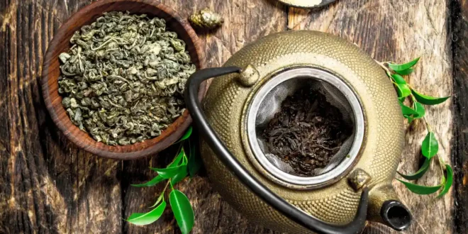 Wirkungen der Catechine aus grünem Tee auf die Gesundheit