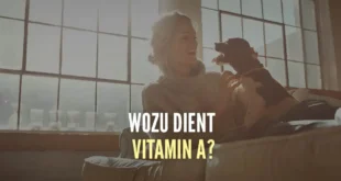 Funktionen und Eigenschaften von Vitamin A in deinem Körper