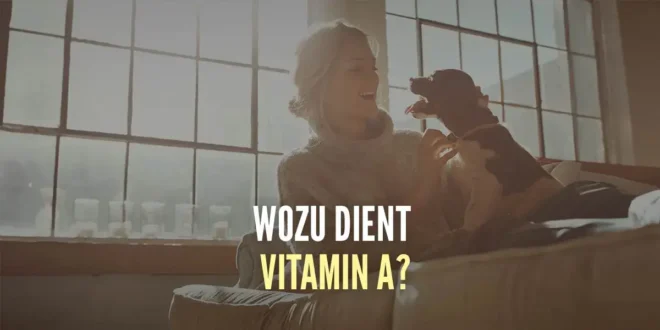 Funktionen und Eigenschaften von Vitamin A in deinem Körper