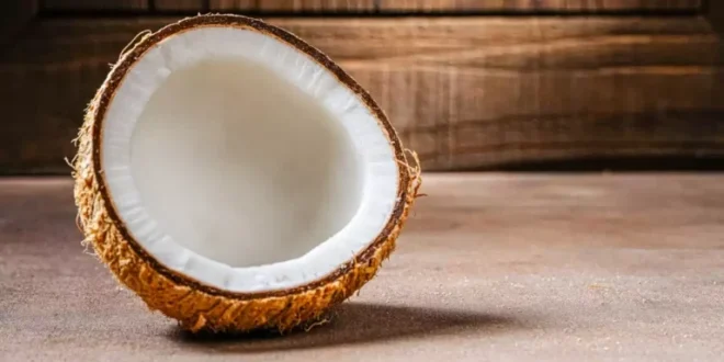 Kokosnuss: Eigenschaften, Vorteile und Nährwert eines natürlichen Superfoods Kokosnuss: Eigenschaften, Vorteile und Nährwert eines natürlichen Superfoods