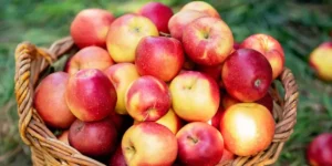 Eigenschaften und Vorteile von Apfelessig für deine Gesundheit