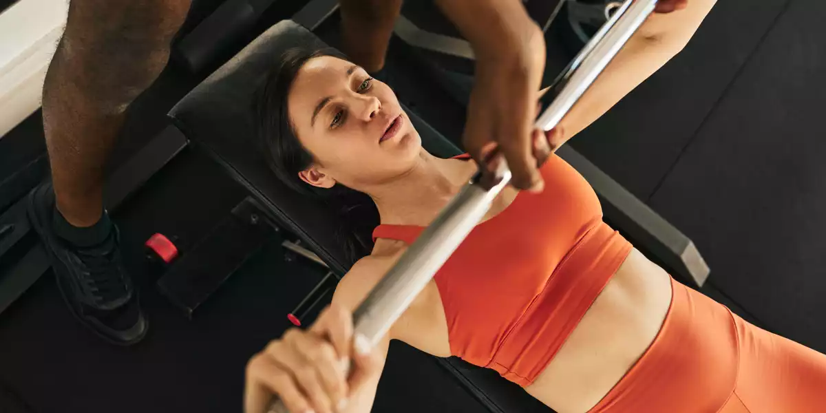 Bench Press Exercise