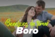 Boro - Vorteile, Eigenschaften, wann du es nehmen solltest...