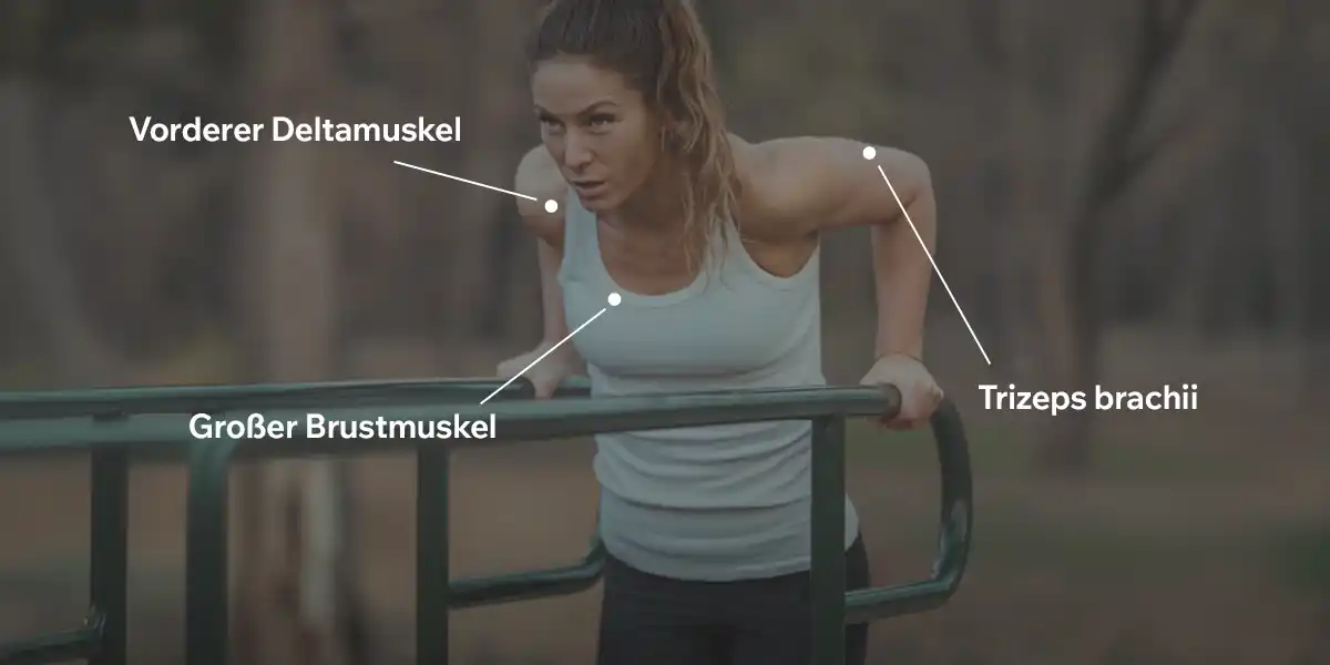 Welche Muskeln werden trainiert?