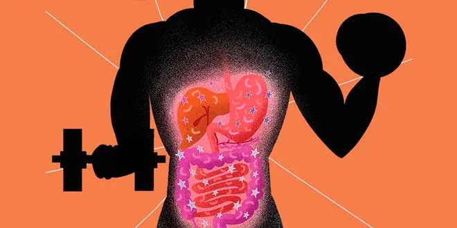 Wie kann man die Darmflora verbessern?