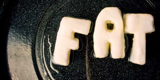 Gesättigte Fettsäuren und Transfette: was du wissen solltest