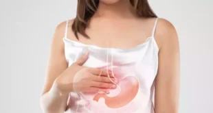 Mastic Gum: Das jahrtausendealte Harz, das die Verdauungsgesundheit revolutioniert