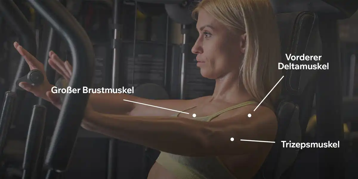 Muskeln, die das Brustdrücken an der Maschine trainiert