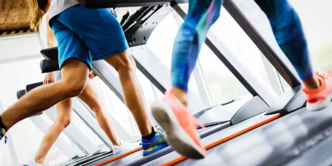 8 Vorteile der afrikanischen Mango für die Kontrolle deines Gewichts 8 Vorteile der afrikanischen Mango für die Kontrolle deines Gewichts